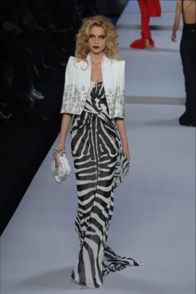 S/S 2008 Dior by John Galliano silk zebra dress - XS