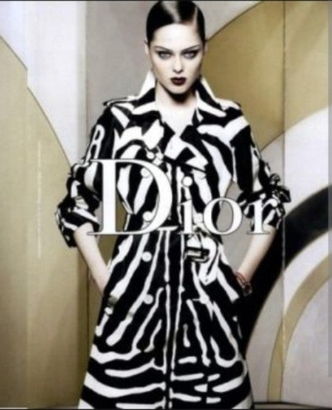 S/S 2008 Dior by John Galliano silk zebra dress - XS