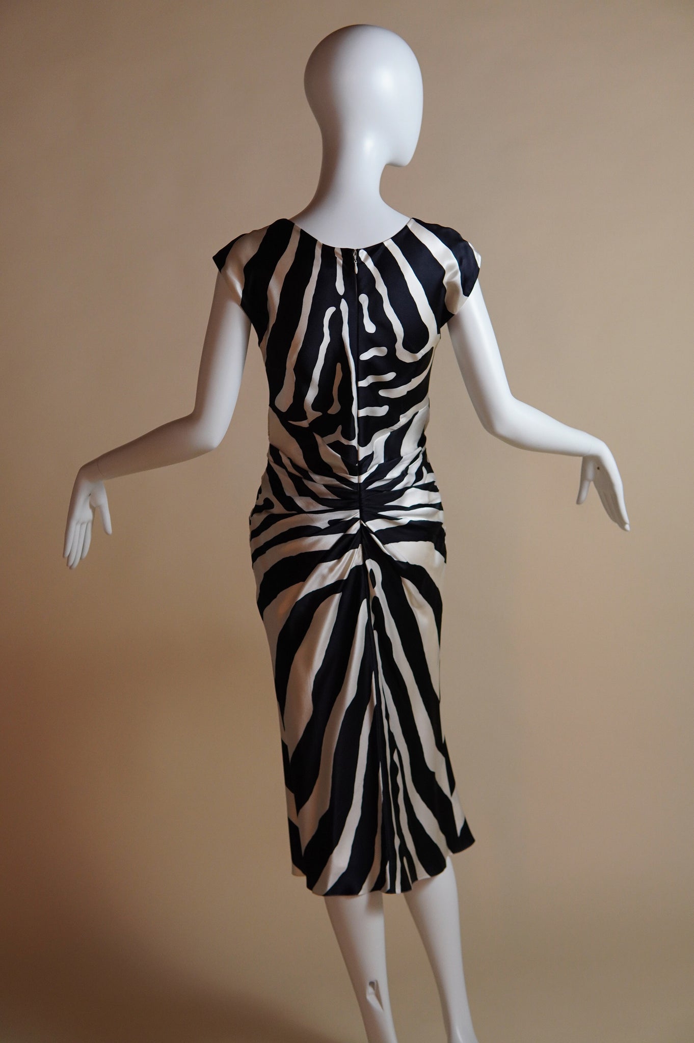 S/S 2008 Dior by John Galliano silk zebra dress - XS